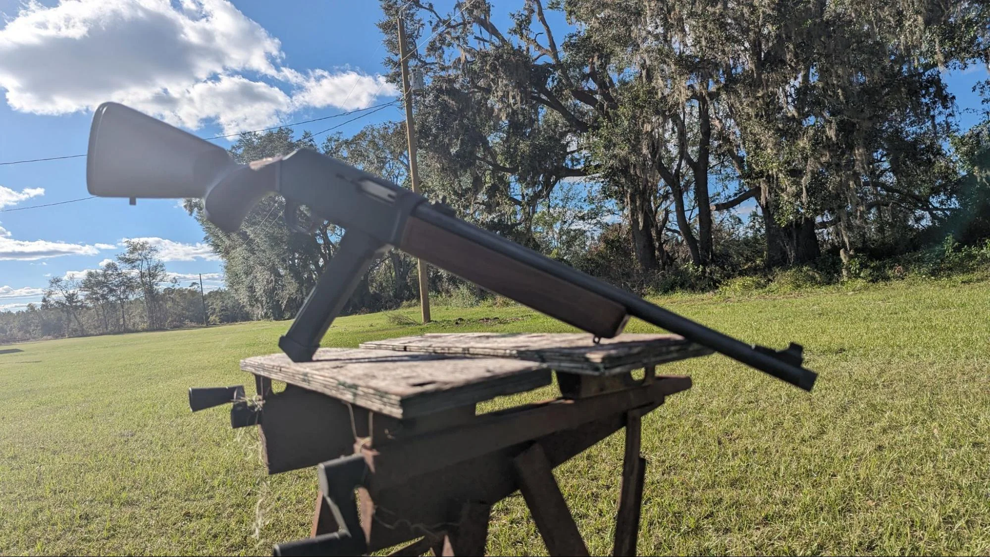 henry homesteader 9mm carbine profile pic on table