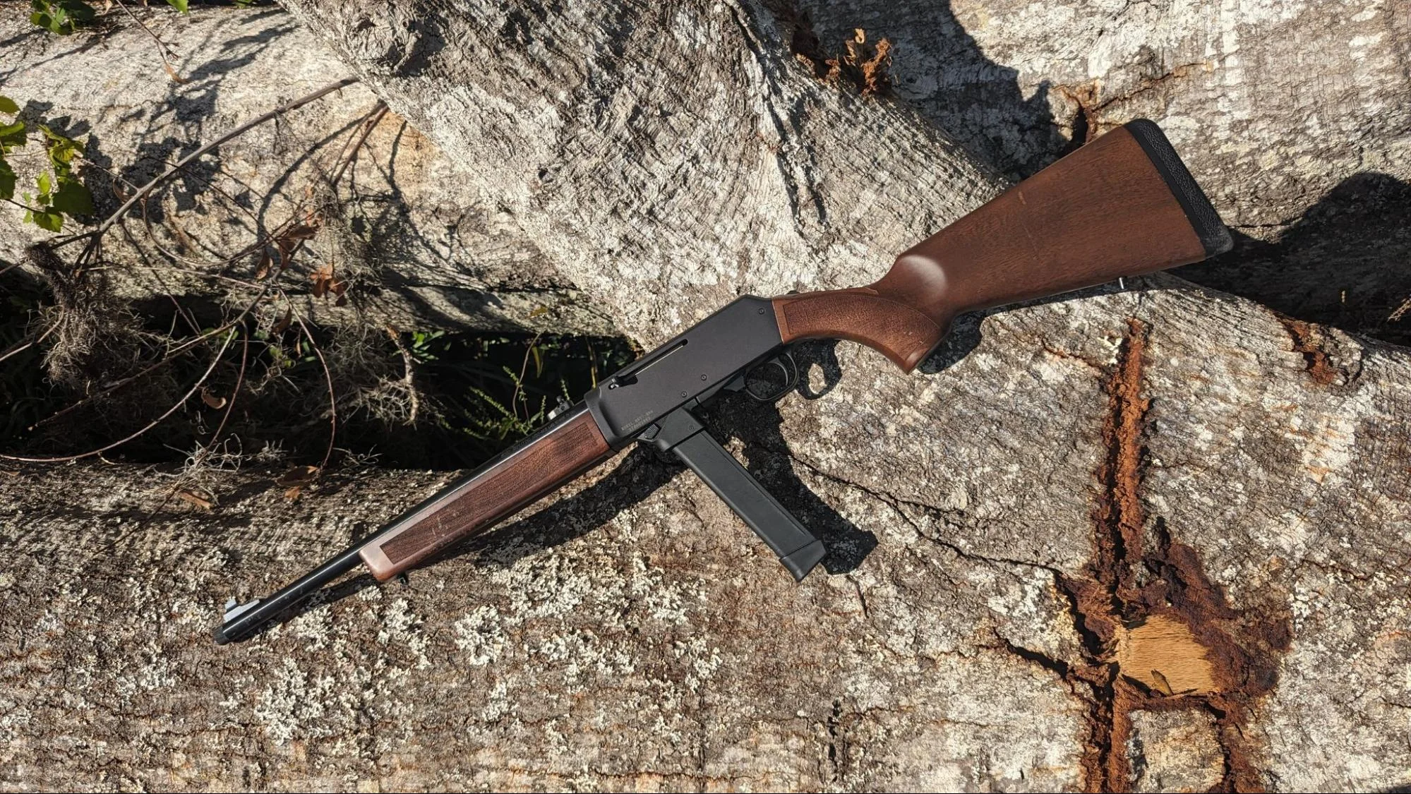 henry homesteader profile pic