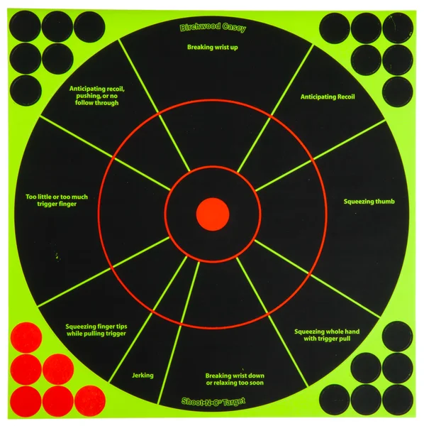 Birchwood Casey Shoot-N-See Targets
