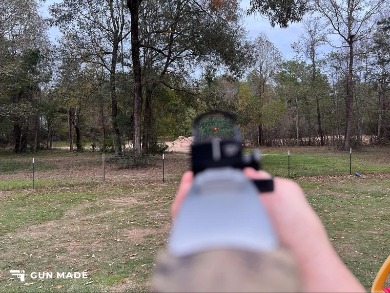 Burris Fastfire 3 reticle POV