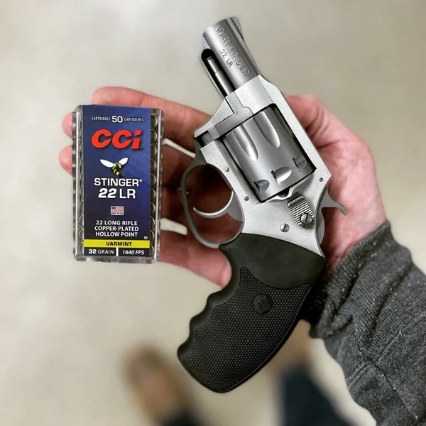 Charter Arms Pathfinder .22LR