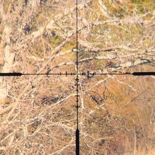 Swampfox Tomahawk II 1-6x24 LPVO reticle view
