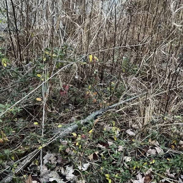 Henry Survival Rifle blending into the natural outdoor environment, showcasing its camo pattern
