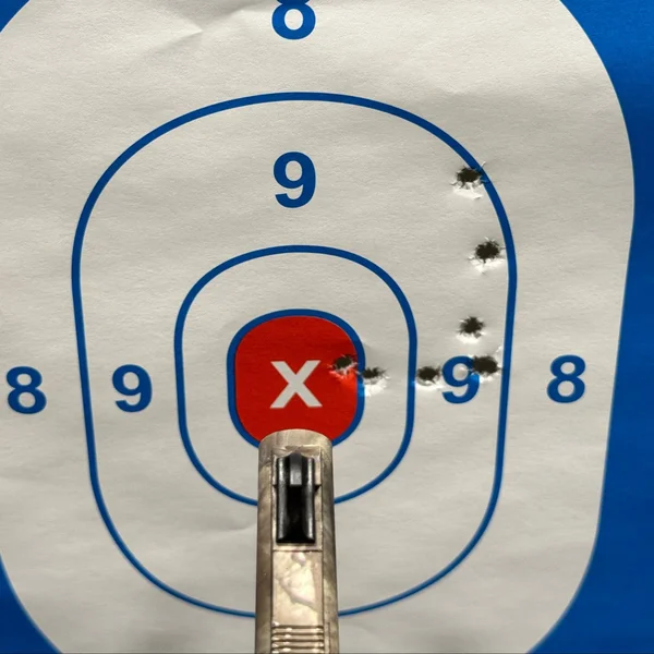 arget practice shot showing off-center sights alignment of the Henry Survival Rifle