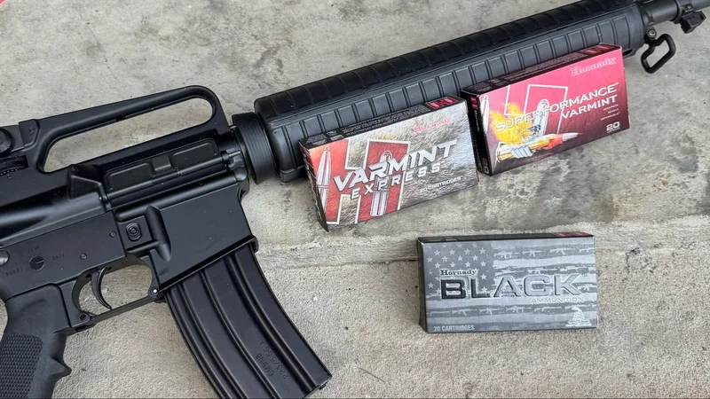 Springfield SA-16A2 review with ammo