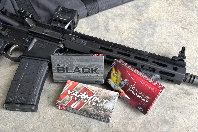 Springfield Saint Victor Pistol displayed with Hornady Black, Varmint Express, and Superformance Varmint 5.56 ammo boxes