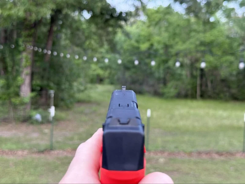 titanx sighted in